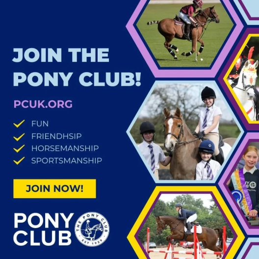 Reasons to join the pony club Reasons to join the pony club
